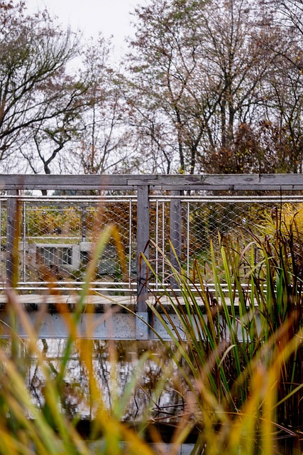 Free Bridge Nature photo and picture