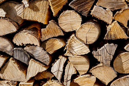 Free Wood Logs photo and picture