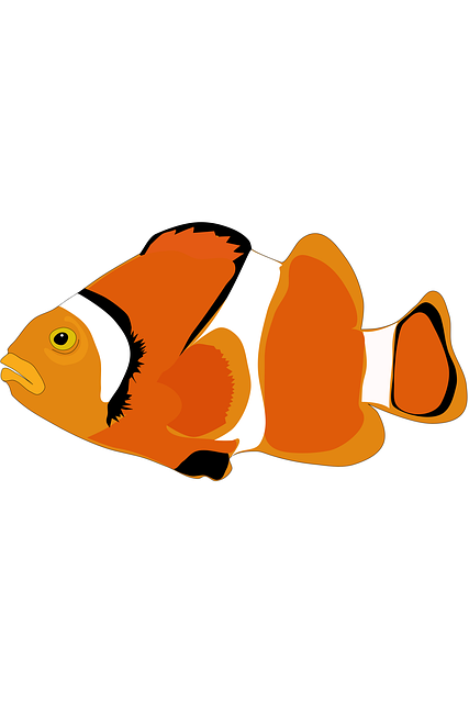 Fisk, Koi, Undervands, Natur, Fiskeri