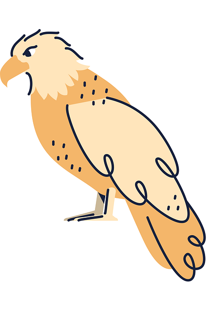 Free bird nature eagle illustration