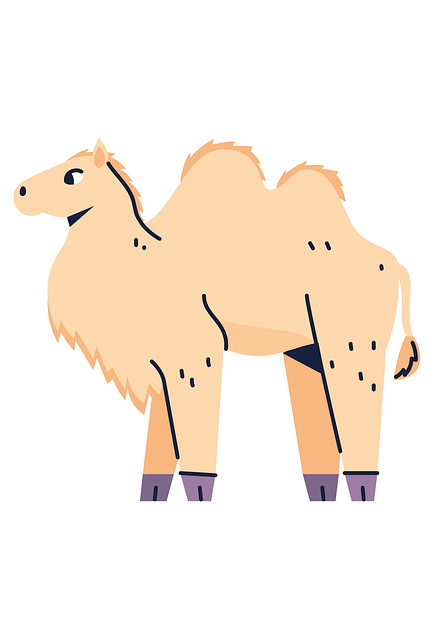 Free camel sand travel illustration