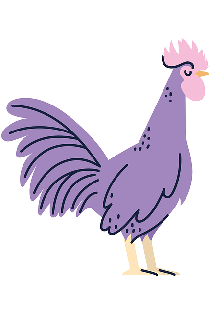 Free chicken bird wings illustration
