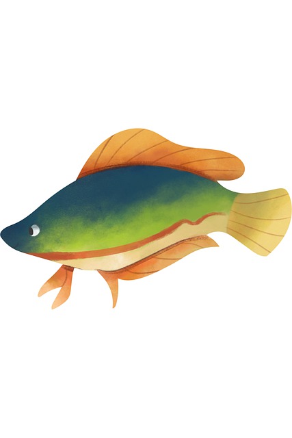 Fisk, Natur, Hav, Ocean, Svømme