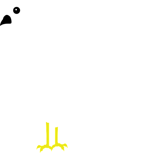 Fugl, Due, Dyr, Fred, Symbol, Tegning