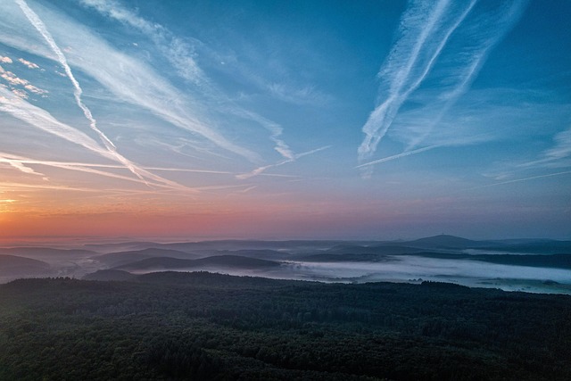 Free Forest Nature photo and picture