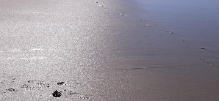 Sand, Strand, Utendørs, Reise