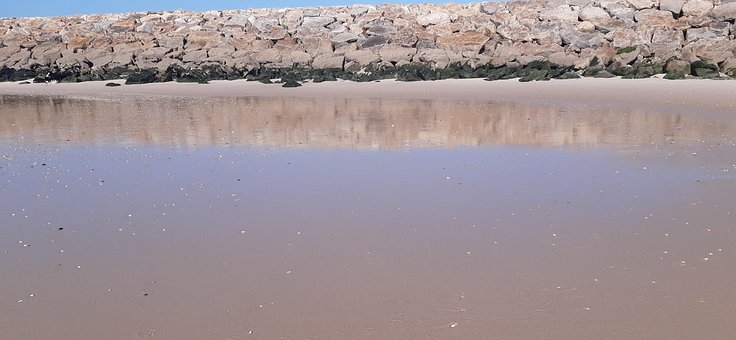Vandrer, Ocean, Strand, Hav