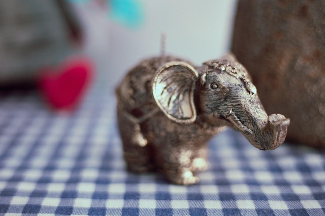 Free Animal Elephant photo and picture