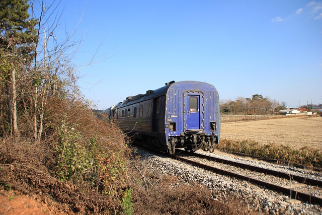Zug, Eisenbahn, Herbst, Reisen
