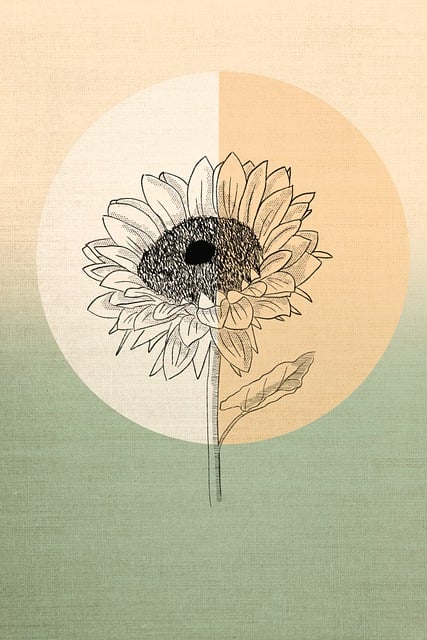 Free sunflower drawing background illustration