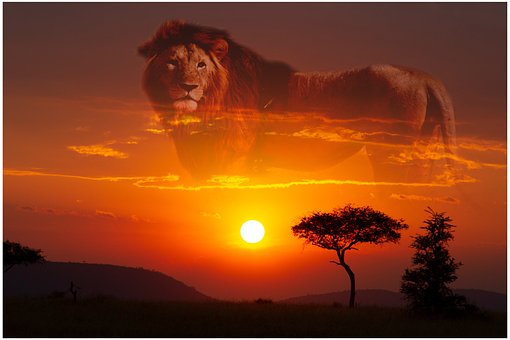 Free Poster Sunset photo and picture