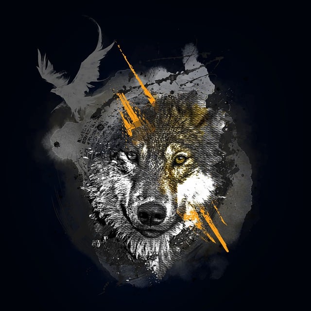 Free wolf animal wildlife illustration