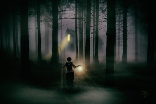 Wald, Nebel, Weg, Draußen