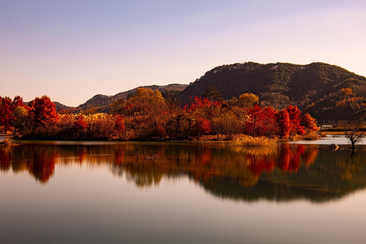 Lake - free online jigsaw puzzle photo