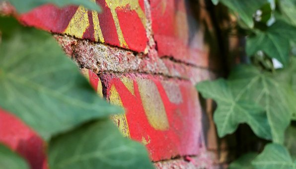 Free Art Leaves photo and picture