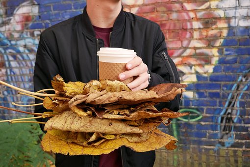 Free Coffee Autumn photo and picture