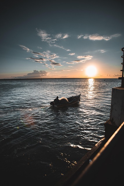 Free Sea Sunset photo and picture