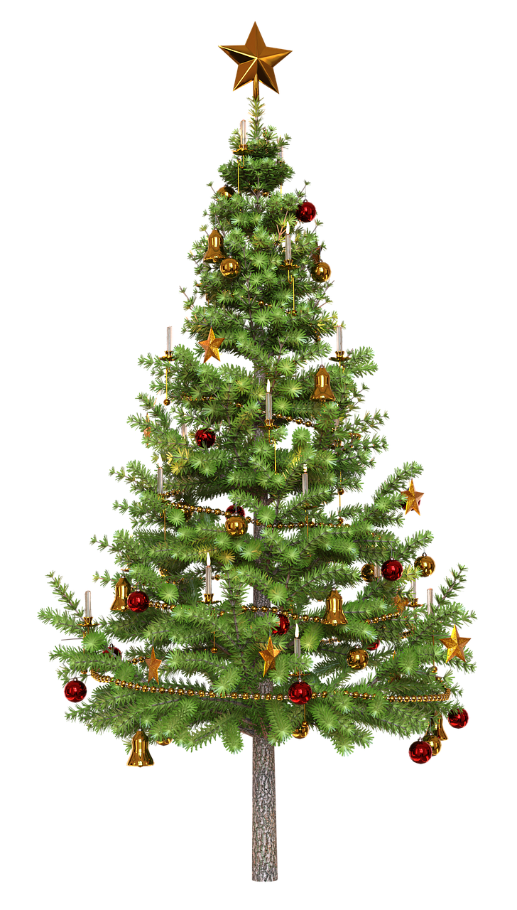 Download Christmas Tree, Christmas, Tree. RoyaltyFree Stock