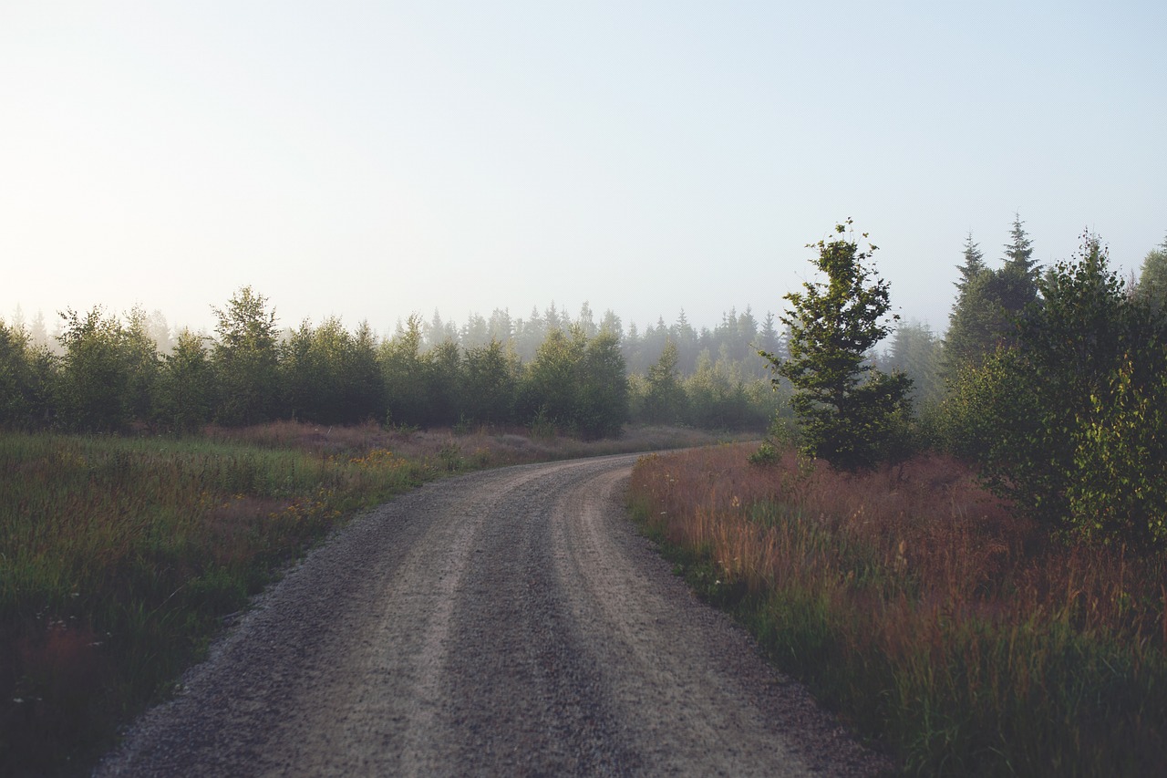 Road - free online jigsaw puzzle photo