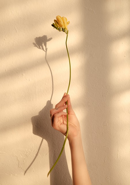 Flor, Bloom, Naturaleza, Florecer