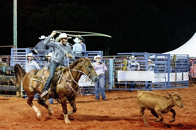 Rodeo Cowboy Horse - Free photo on Pixabay