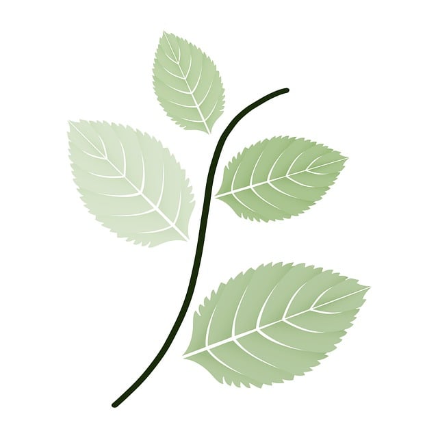 Download free HD stock image of Branch Floral Background Free branch floral background leaves illustration