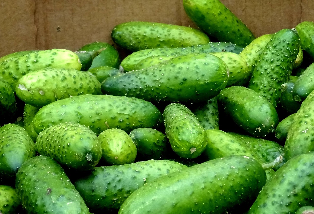 Vegetables Cucumbers Market - Free photo on Pixabay - Pixabay
