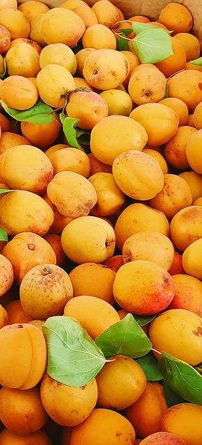 Free Colorful Fruit photo and picture