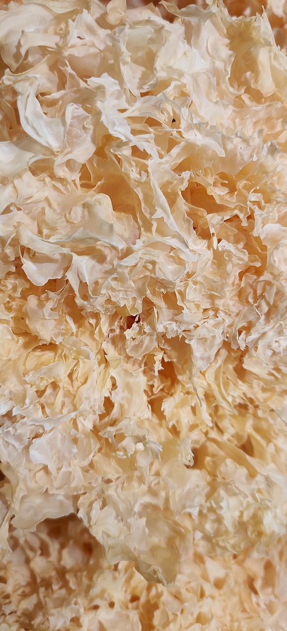 Dry Tremella Fuciformis Food - Free photo on Pixabay - Pixabay