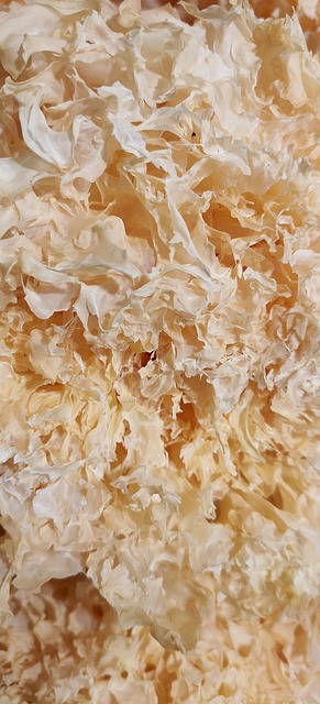 Free Dry Tremella Fuciformis photo and picture