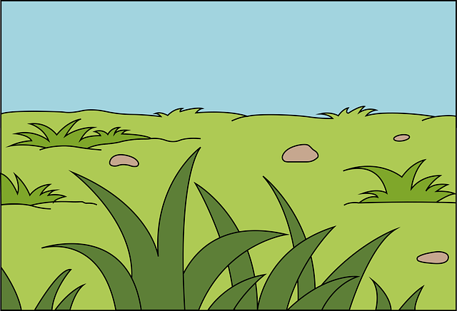 Free grass meadow nature vector