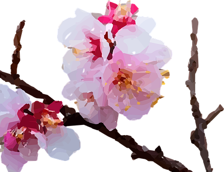꽃, 사쿠라, 식물, 플로라, 일본어, 일본, 미술, 잎