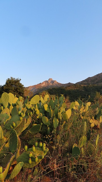 Free Sicily Italy photo and picture