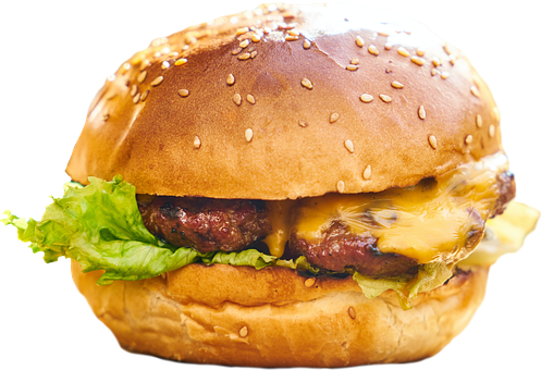 Free Burger Hamburger illustration and picture