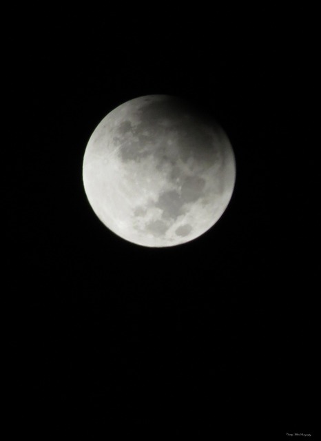Free Moon Eclipse photo and picture