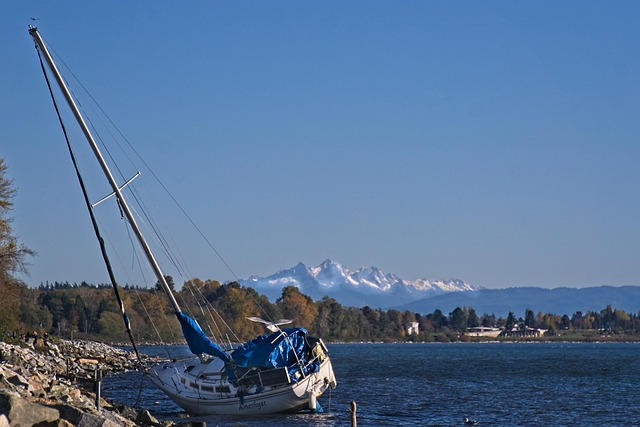 Free Sailboat Ocean photo and picture