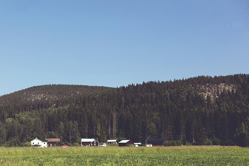 Stadt, Dorf, Landschaft, Ländlich, Baum