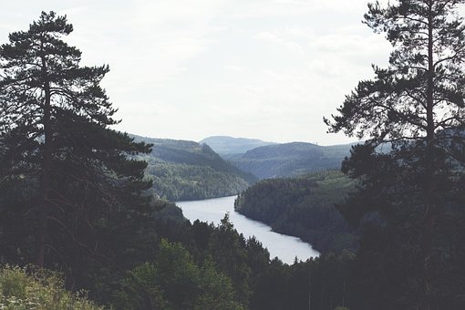 Natur, Fluss, See, Wald, Draußen, Reisen