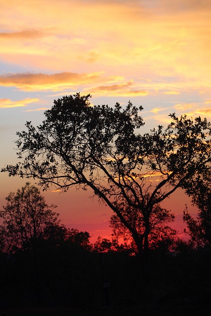 Free Sunset Nature photo and picture