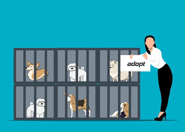 Free dog adopt adoption illustration