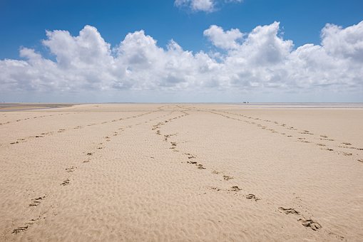 Küste, Meer, Ebbe, Strand, Wattwanderung