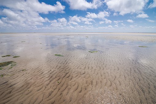 Wüste, Sand, Reisen, Tourismus, Nordsee