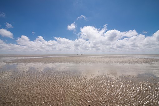 Wüste, Sand, Dünen, Nordsee, Wattenmeer