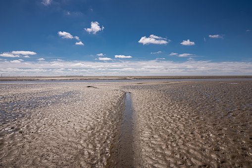 Wüste, Dünen, Sand, Nordsee, Wattenmeer