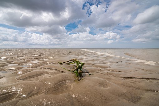 Sand, Dünen, Draußen, Reisen, Erkundung