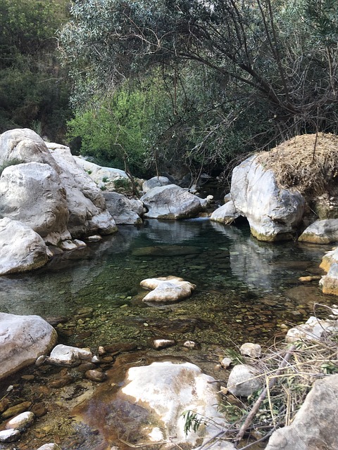 Free Landscape Nature photo and picture