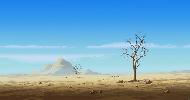 Deserto, Arvores, Dunas De Areia