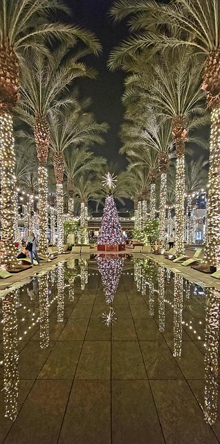 Free Christmas Tree Christmas Decorations photo and picture