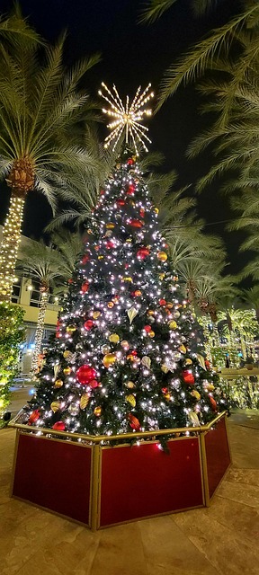 Free Christmas Tree Christmas photo and picture