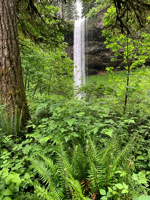 Oregon, Watervallen, Natuur, Landschap